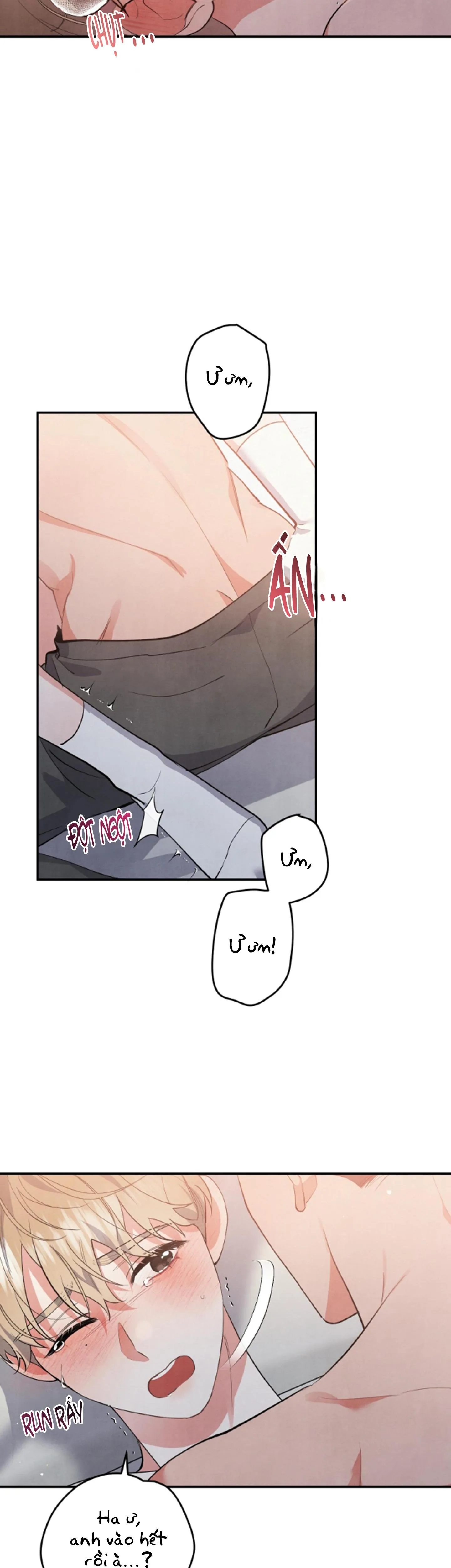 MỐI QUAN HỆ NGU NGỐC Chapter 48 Trang 16