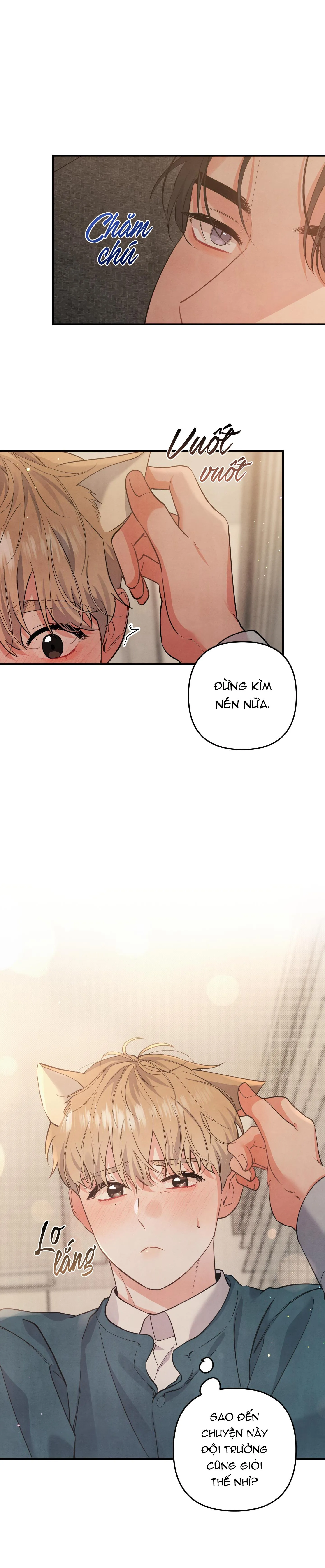 MỐI QUAN HỆ NGU NGỐC Chapter 55 Trang 16