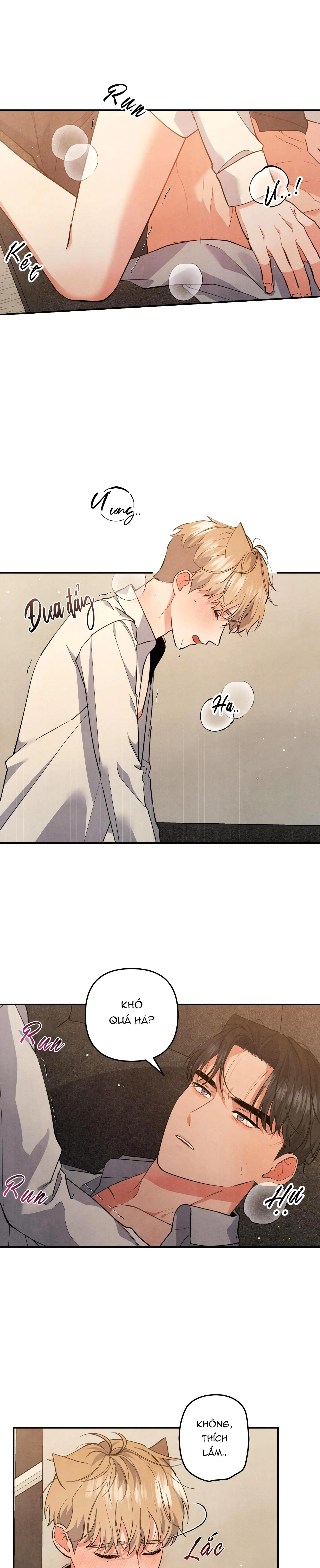 MỐI QUAN HỆ NGU NGỐC Chapter 55 Trang 19