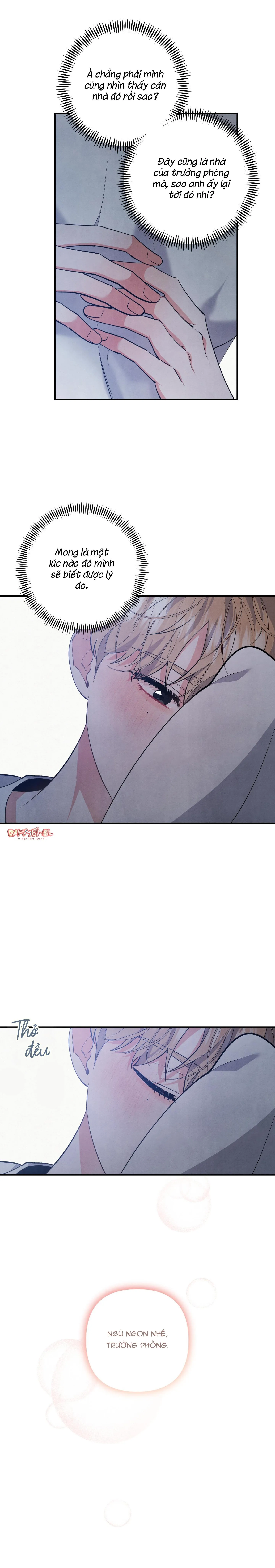 MỐI QUAN HỆ NGU NGỐC Chapter 56 Trang 19