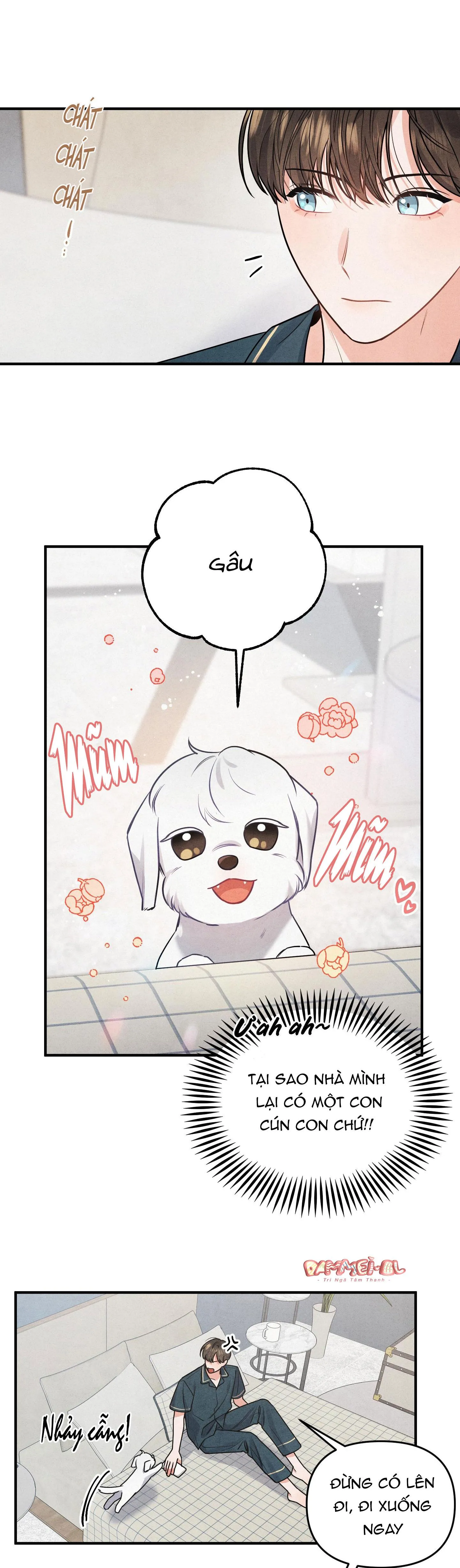 MỐI QUAN HỆ NGU NGỐC Chapter 1 Trang 4