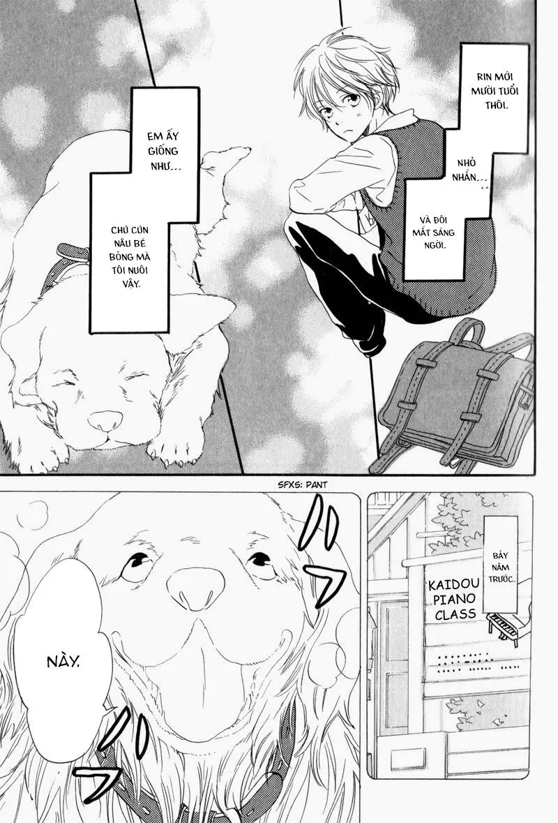 Mối tình bí mật năm 17 tuổi Chapter 3 Trang 15