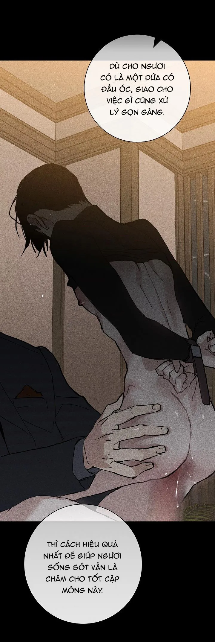 MỐI TÌNH ĐÃ MẤT Chapter 12 Trang 19