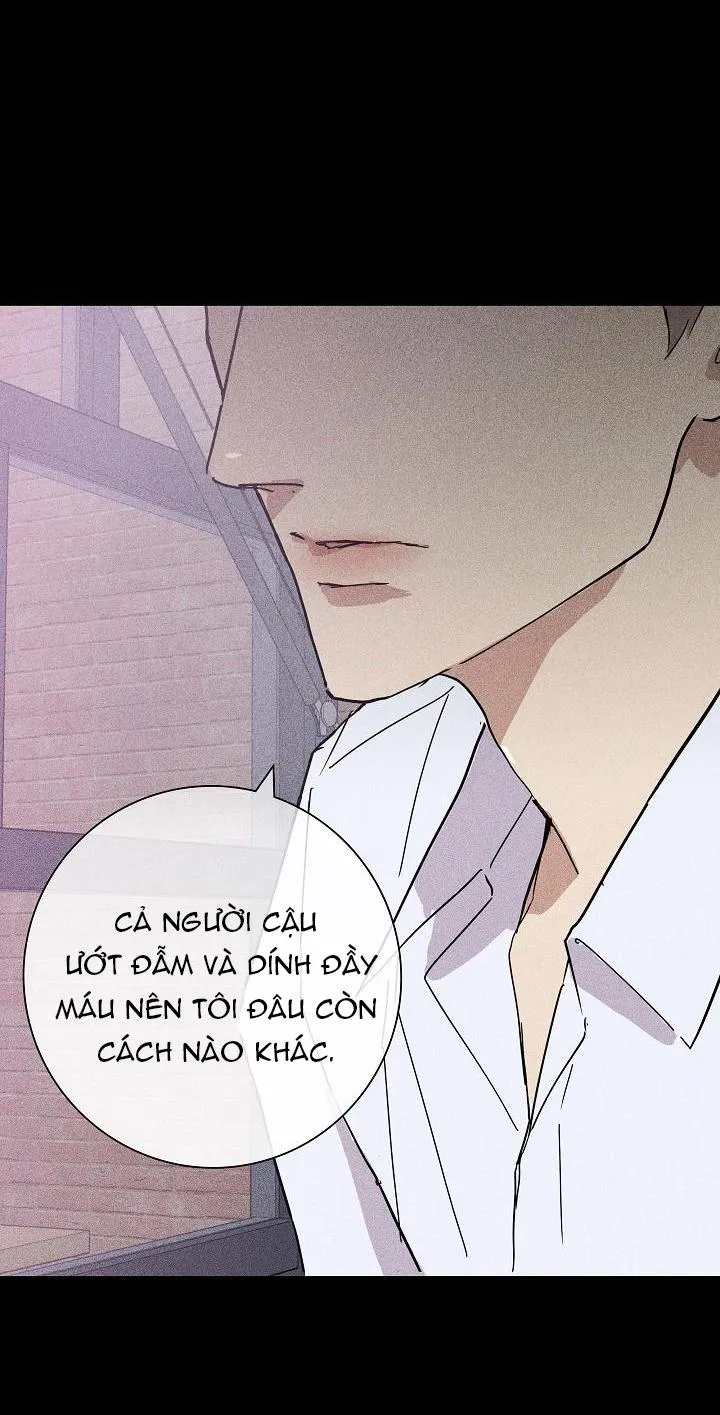 MỐI TÌNH ĐÃ MẤT Chapter 14 Trang 18