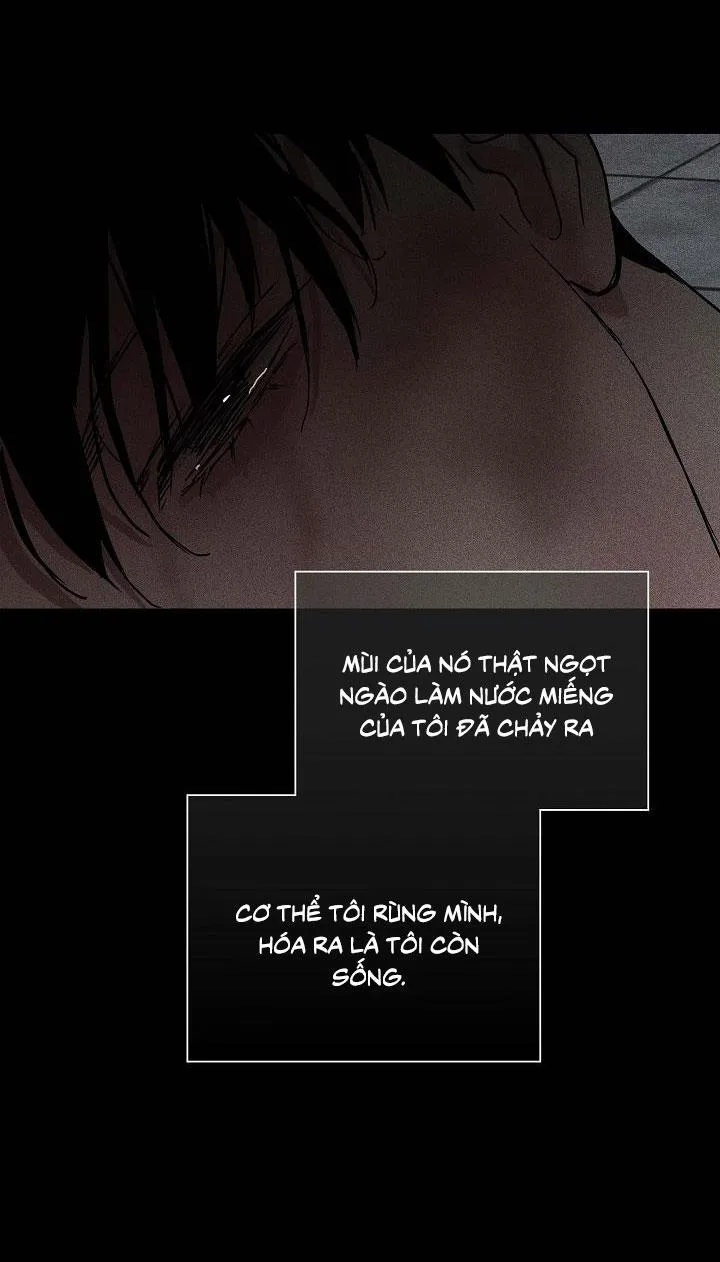 MỐI TÌNH ĐÃ MẤT Chapter 15 Trang 40