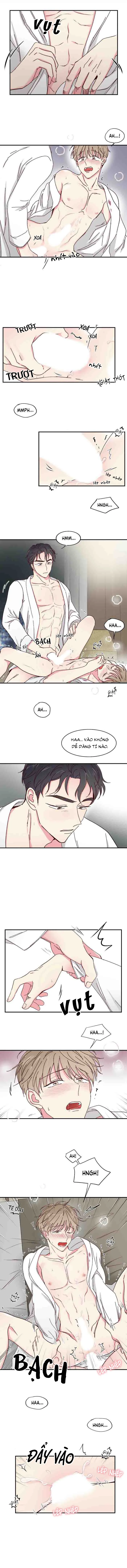 Món Tráng Miệng Của Ngài Giám Đốc Chapter 19 Trang 5