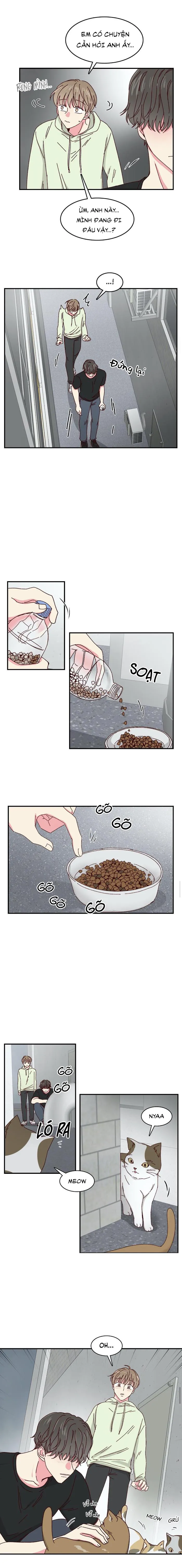Món Tráng Miệng Của Ngài Giám Đốc Chapter 22 Trang 3