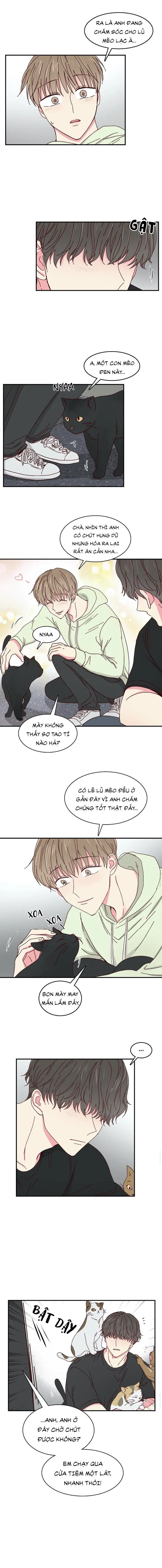 Món Tráng Miệng Của Ngài Giám Đốc Chapter 22 Trang 4