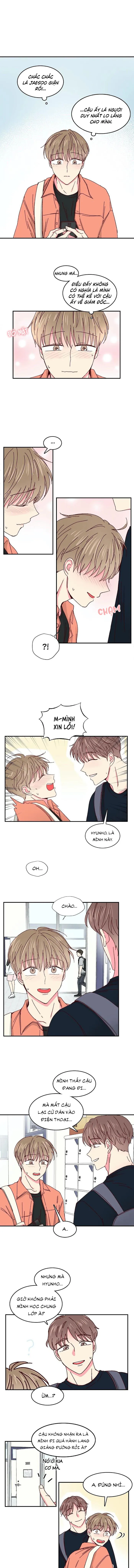 Món Tráng Miệng Của Ngài Giám Đốc Chapter 26 Trang 5