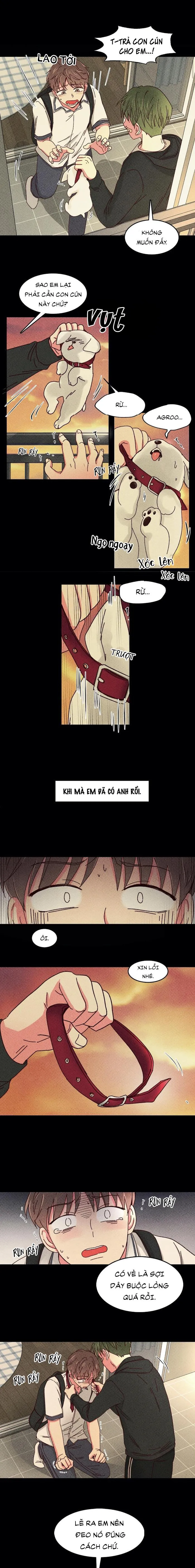 Món Tráng Miệng Của Ngài Giám Đốc Chapter 28 Trang 3