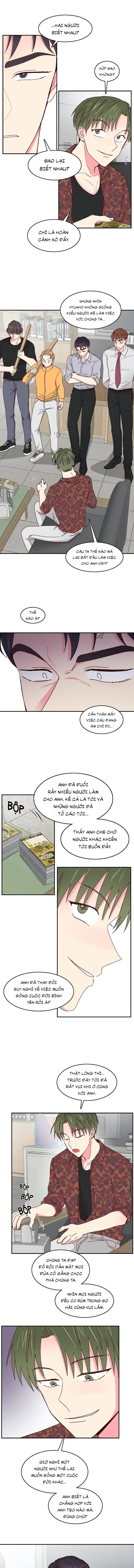 Món Tráng Miệng Của Ngài Giám Đốc Chapter 31 Trang 5