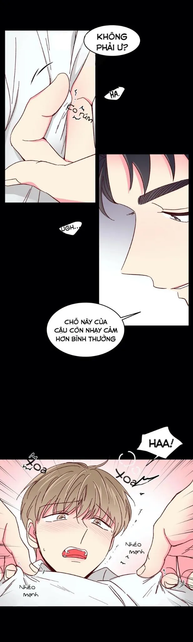 Món Tráng Miệng Của Ngài Giám Đốc Chapter 40 Trang 20