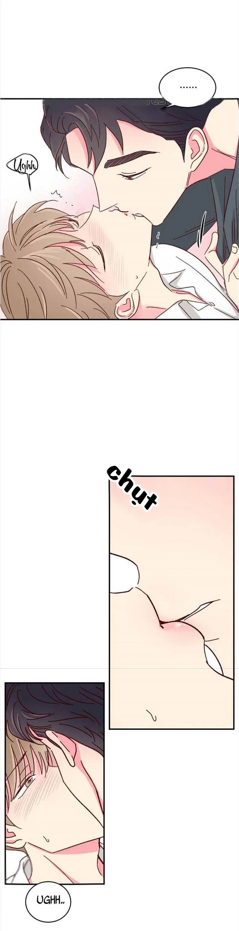 Món Tráng Miệng Của Ngài Giám Đốc Chapter 41 Trang 17