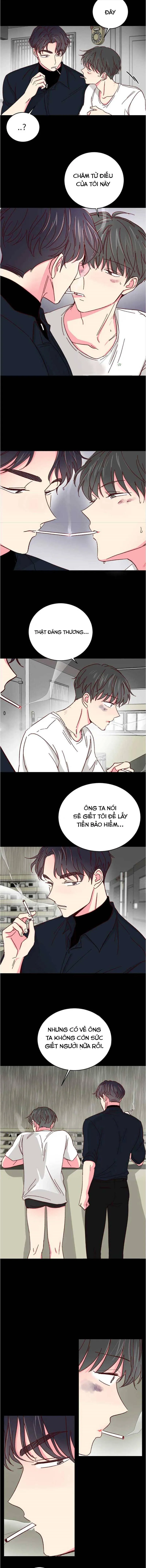 Món Tráng Miệng Của Ngài Giám Đốc Chapter 42 Trang 8
