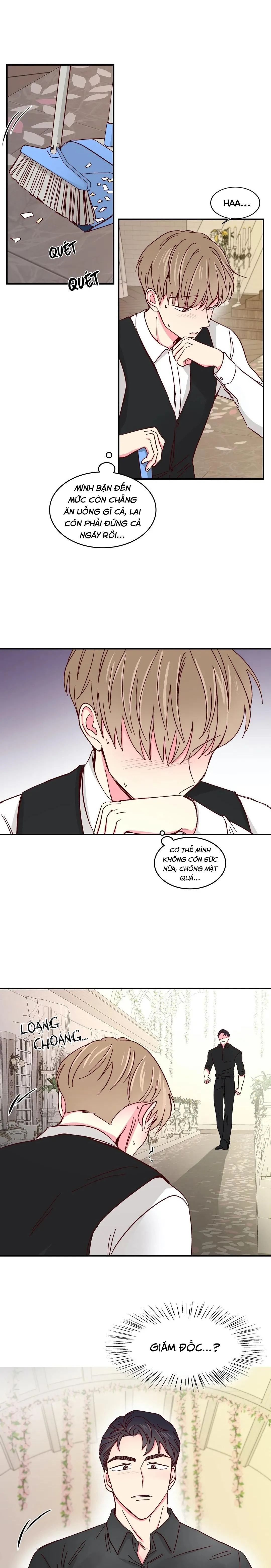 Món Tráng Miệng Của Ngài Giám Đốc Chapter 44 Trang 15