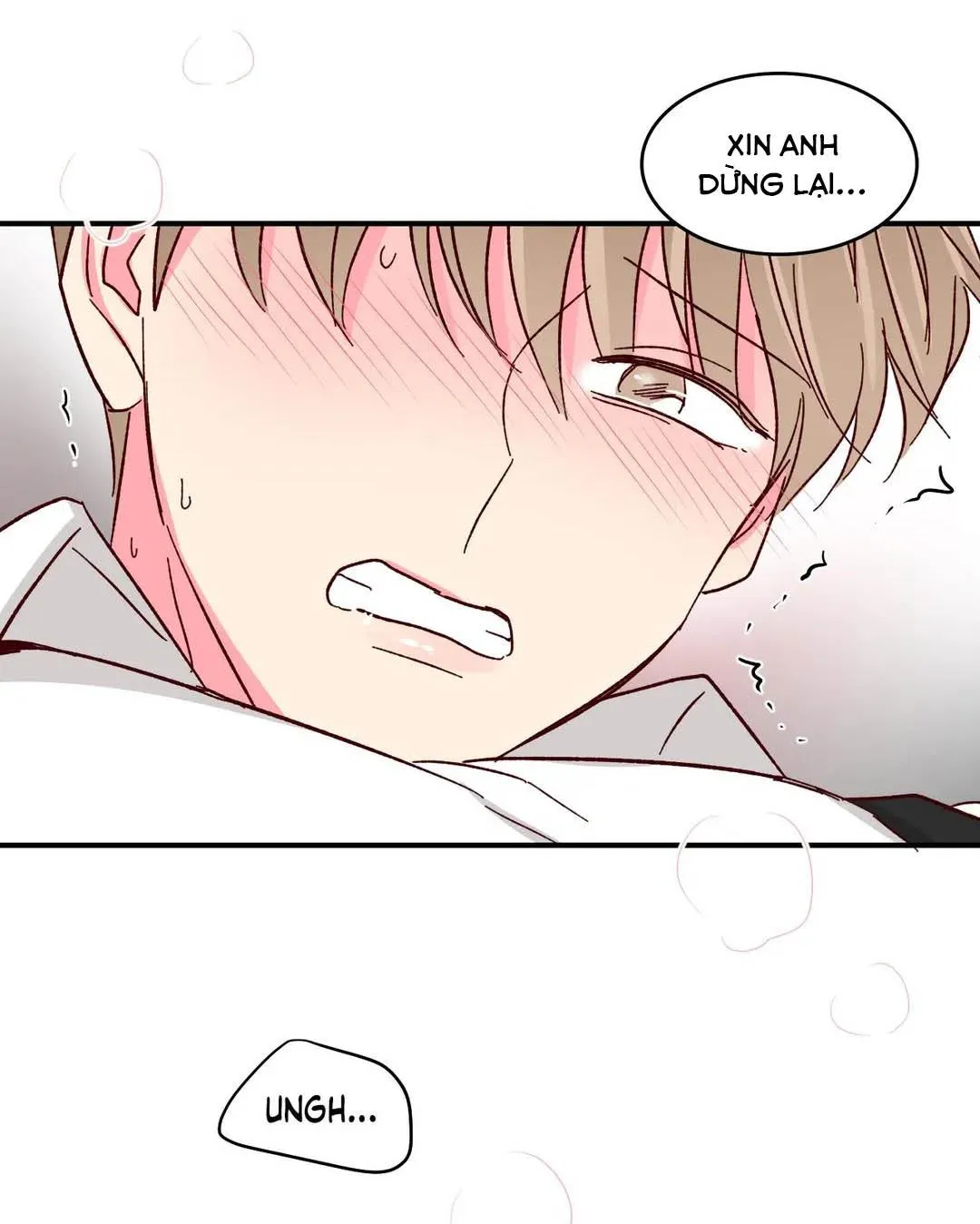 Món Tráng Miệng Của Ngài Giám Đốc Chapter 45 Trang 43