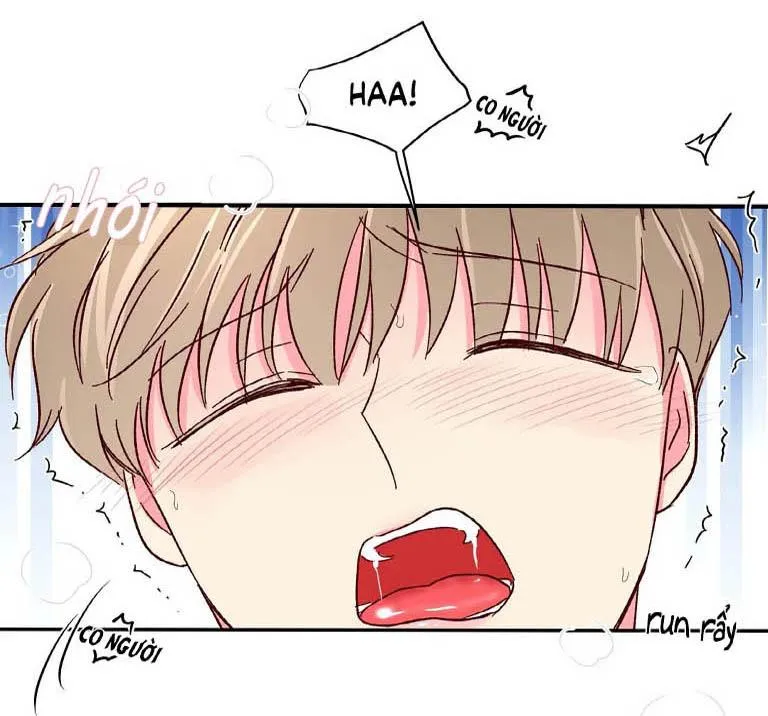 Món Tráng Miệng Của Ngài Giám Đốc Chapter 46 Trang 7