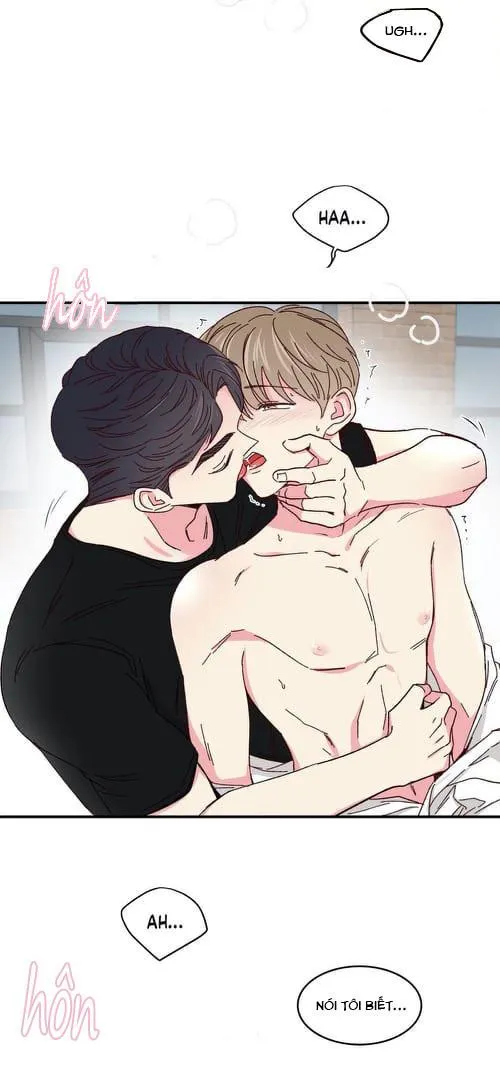 Món Tráng Miệng Của Ngài Giám Đốc Chapter 47 Trang 3