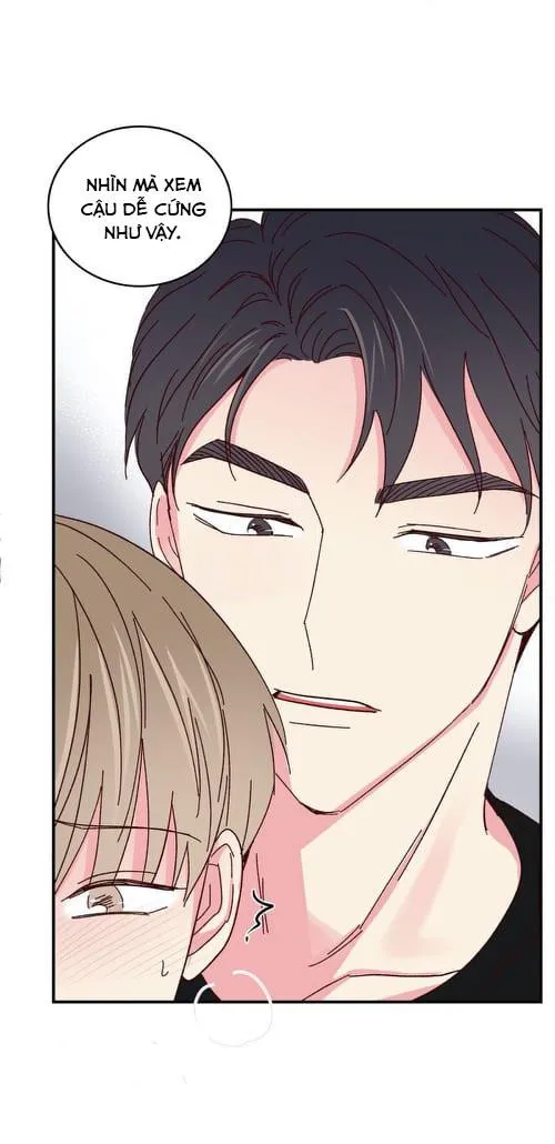 Món Tráng Miệng Của Ngài Giám Đốc Chapter 47 Trang 13