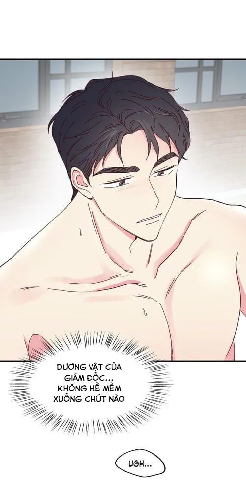Món Tráng Miệng Của Ngài Giám Đốc Chapter 47 Trang 24
