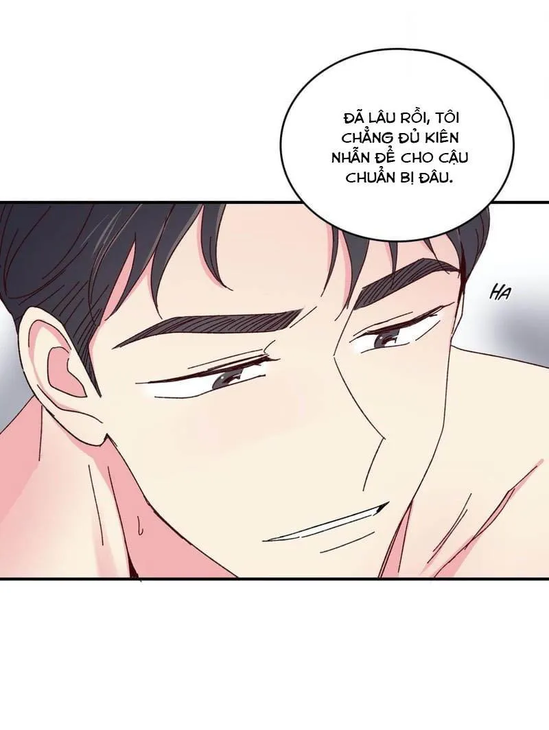 Món Tráng Miệng Của Ngài Giám Đốc Chapter 47 Trang 27