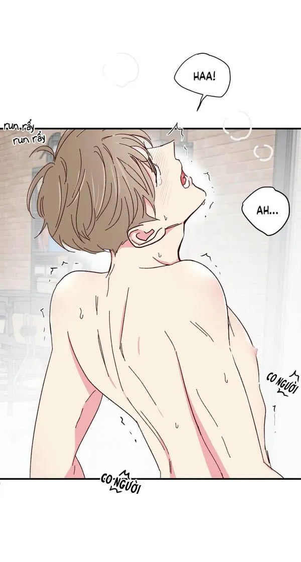 Món Tráng Miệng Của Ngài Giám Đốc Chapter 47 Trang 35