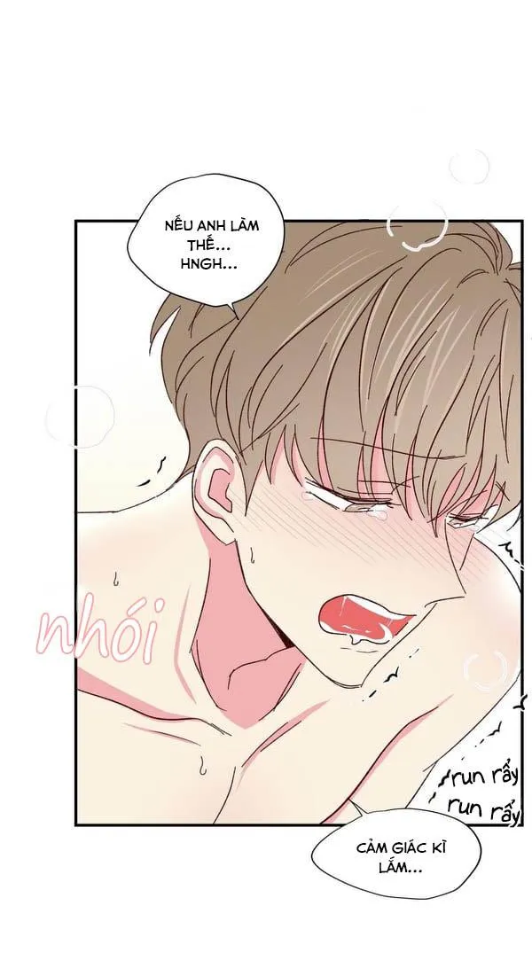 Món Tráng Miệng Của Ngài Giám Đốc Chapter 47 Trang 40