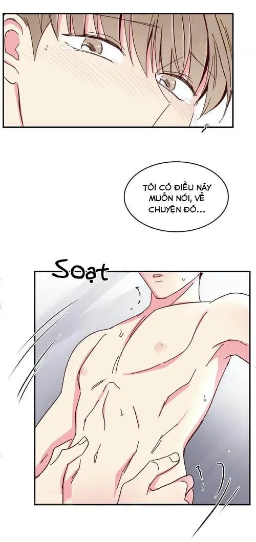 Món Tráng Miệng Của Ngài Giám Đốc Chapter 47 Trang 47