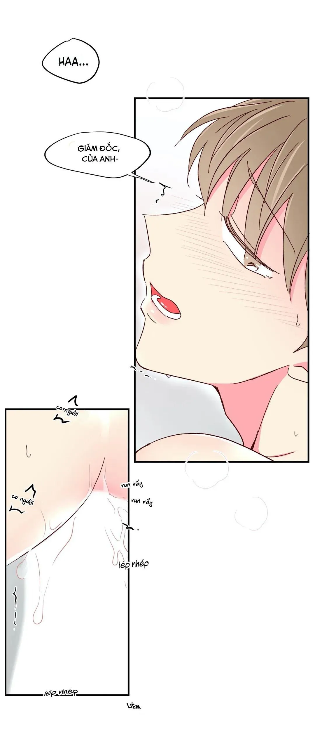 Món Tráng Miệng Của Ngài Giám Đốc Chapter 48 Trang 9