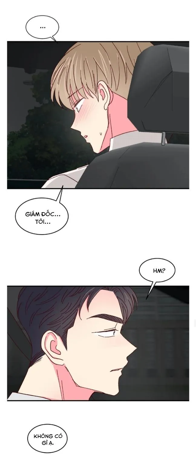 Món Tráng Miệng Của Ngài Giám Đốc Chapter 52 Trang 31