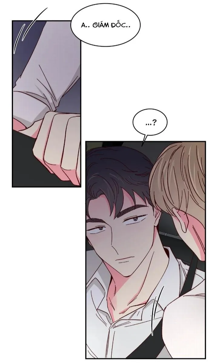 Món Tráng Miệng Của Ngài Giám Đốc Chapter 52 Trang 33