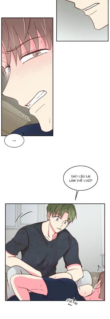 Món Tráng Miệng Của Ngài Giám Đốc Chapter 53 Trang 7