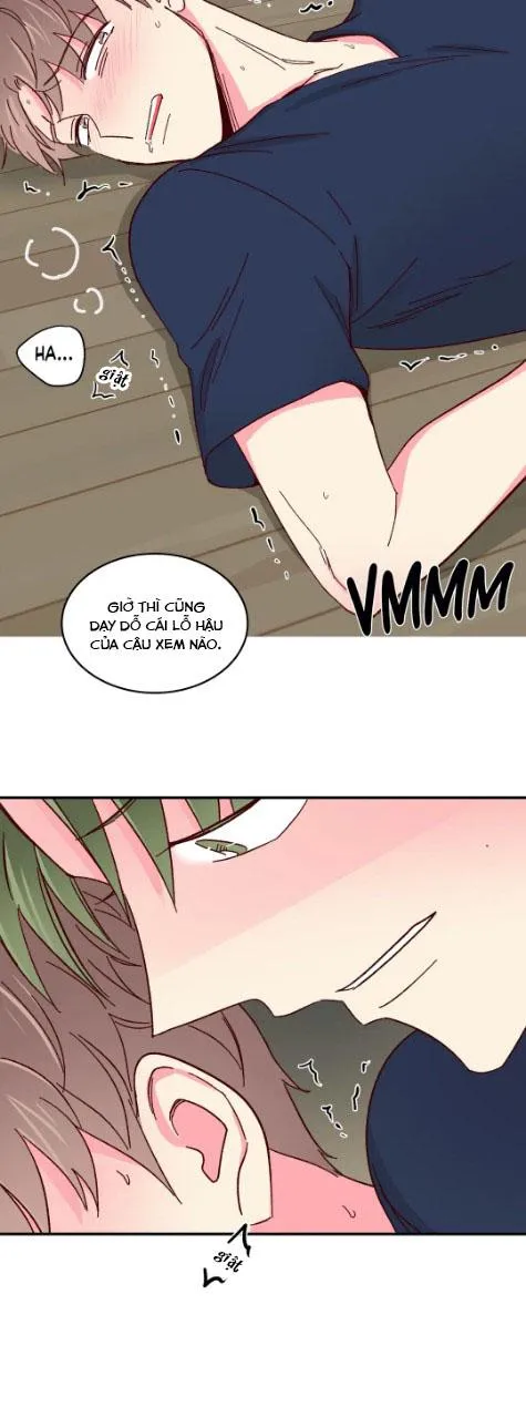 Món Tráng Miệng Của Ngài Giám Đốc Chapter 53 Trang 13