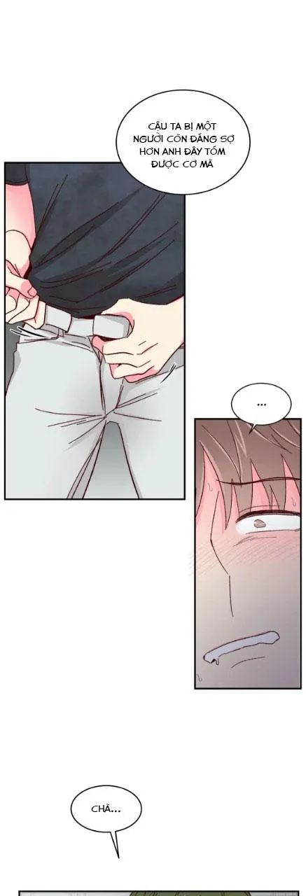 Món Tráng Miệng Của Ngài Giám Đốc Chapter 53 Trang 21