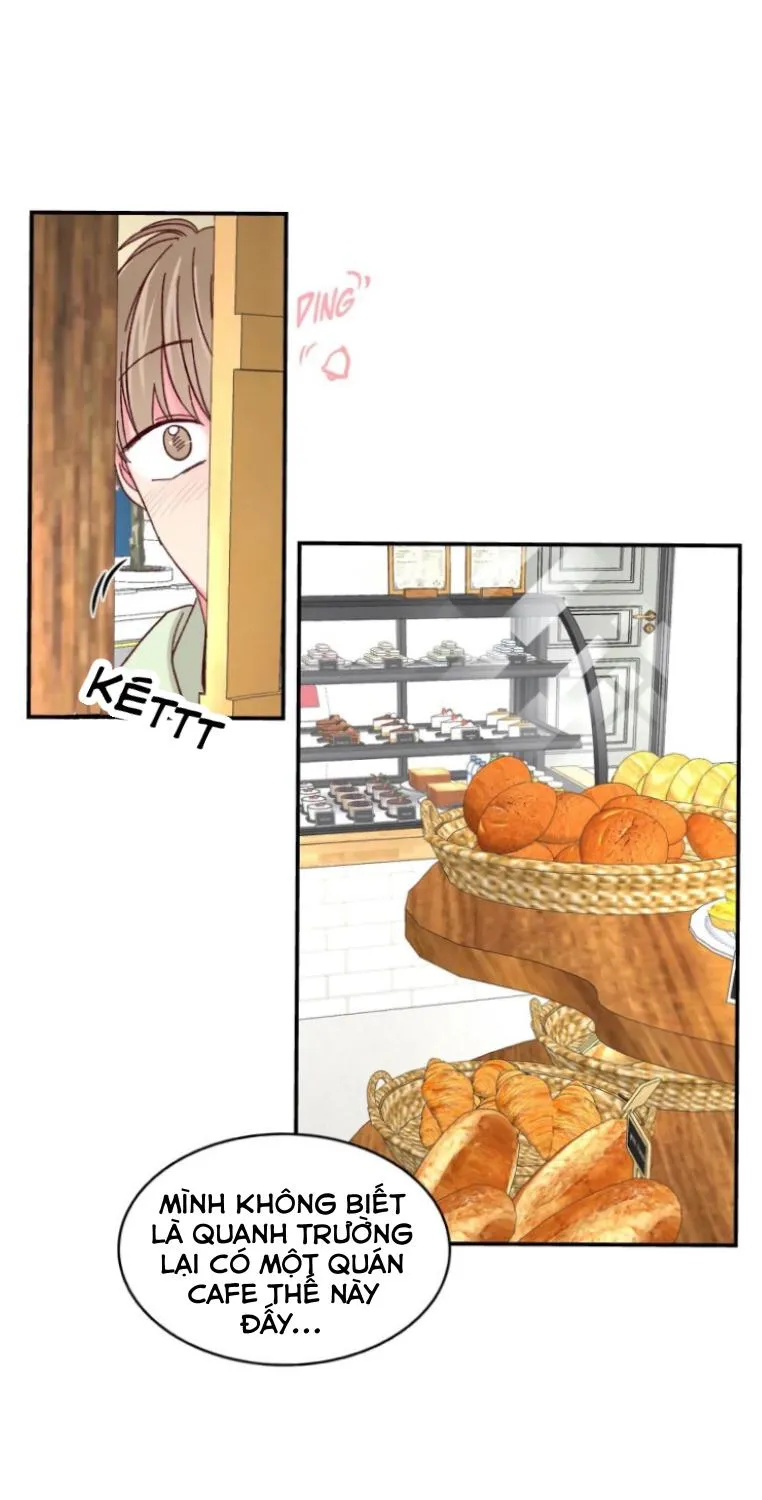 Món Tráng Miệng Của Ngài Giám Đốc Chapter 54 Trang 24
