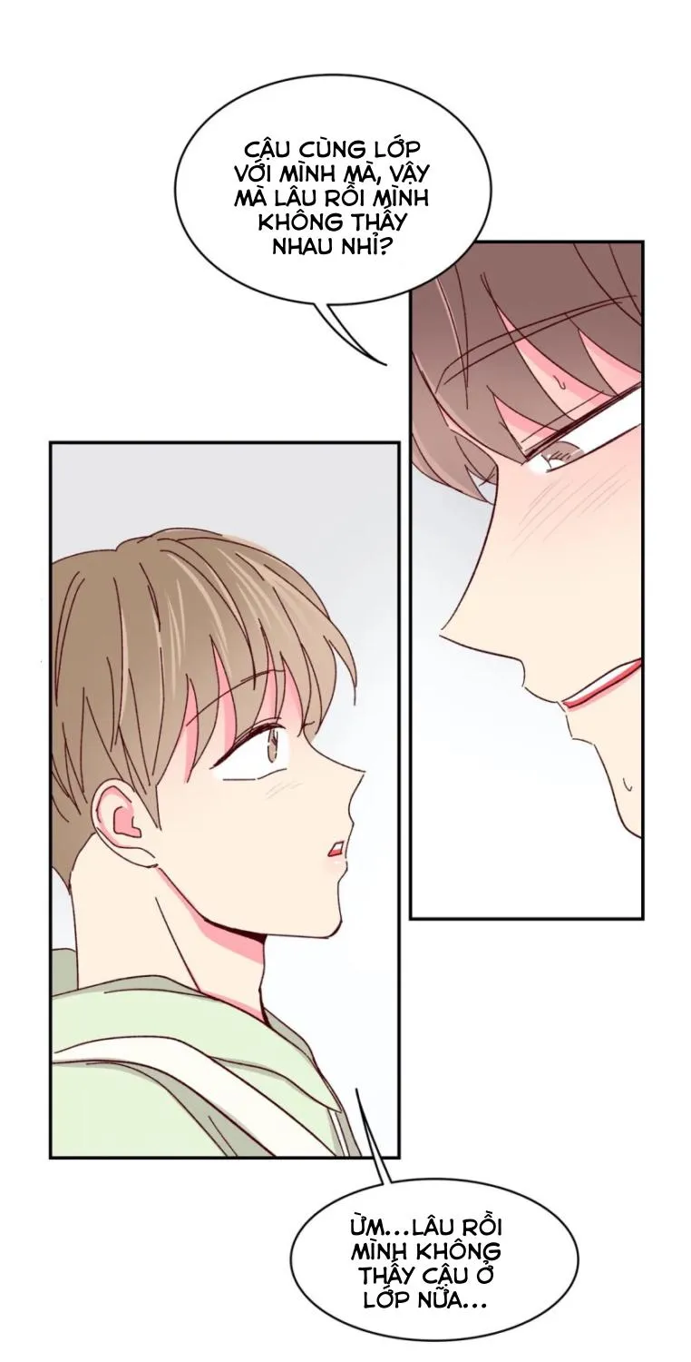 Món Tráng Miệng Của Ngài Giám Đốc Chapter 54 Trang 30