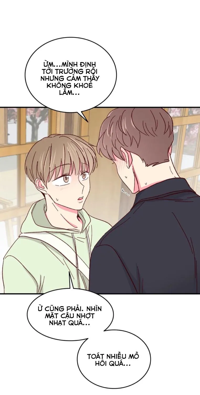 Món Tráng Miệng Của Ngài Giám Đốc Chapter 54 Trang 31