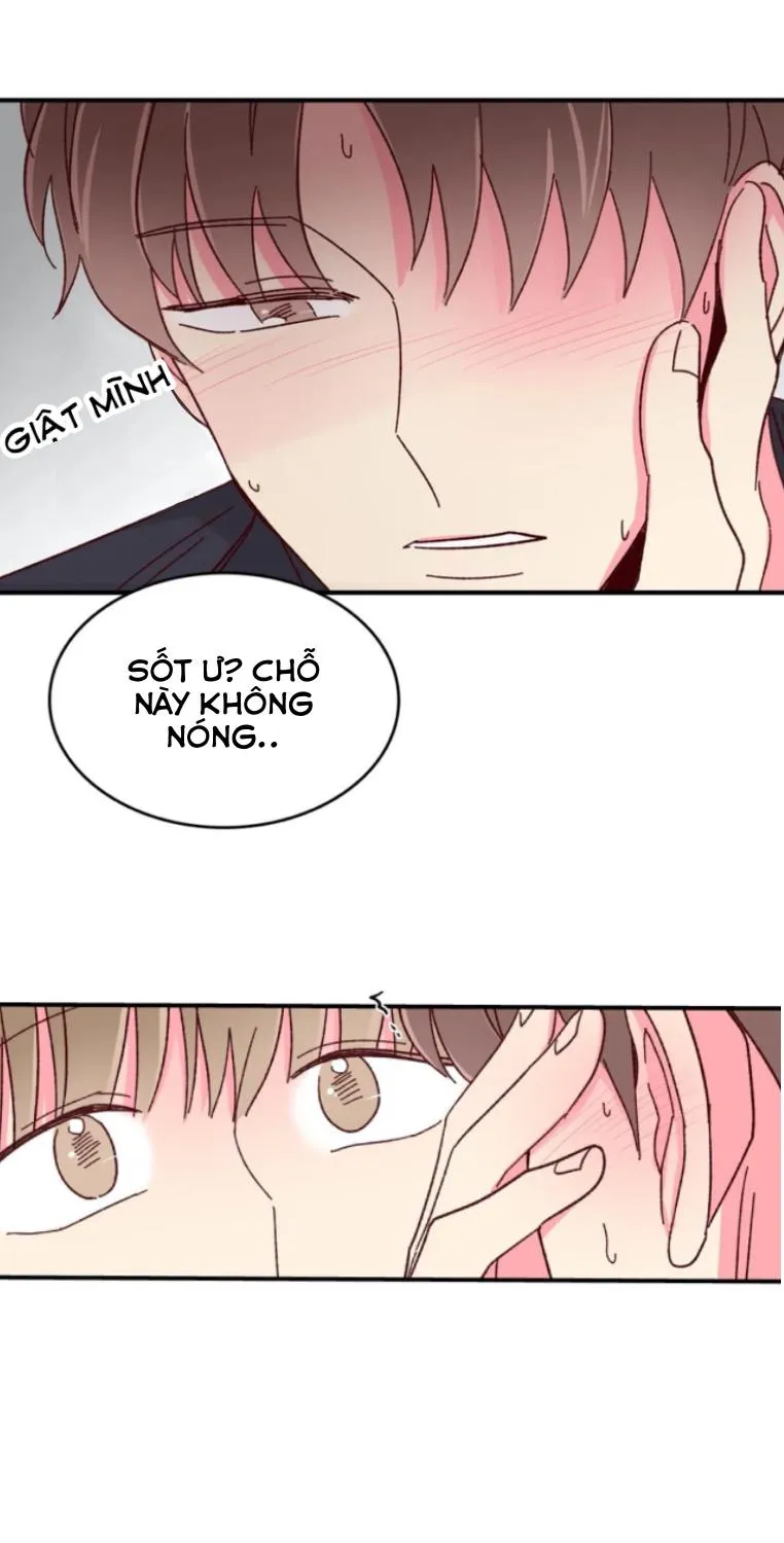 Món Tráng Miệng Của Ngài Giám Đốc Chapter 54 Trang 32