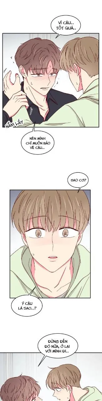 Món Tráng Miệng Của Ngài Giám Đốc Chapter 55 Trang 13