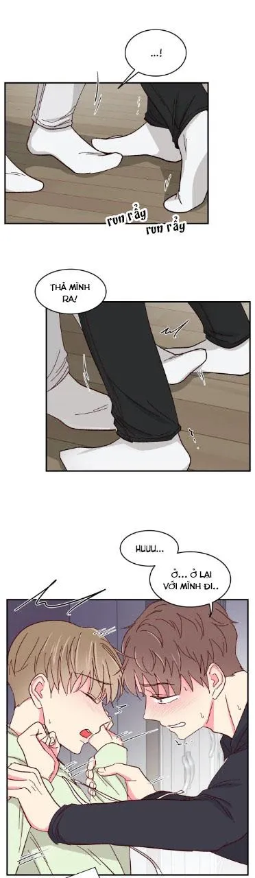 Món Tráng Miệng Của Ngài Giám Đốc Chapter 55 Trang 19