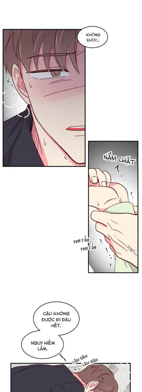 Món Tráng Miệng Của Ngài Giám Đốc Chapter 55 Trang 21