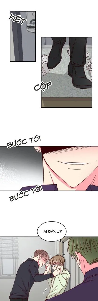 Món Tráng Miệng Của Ngài Giám Đốc Chapter 55 Trang 23