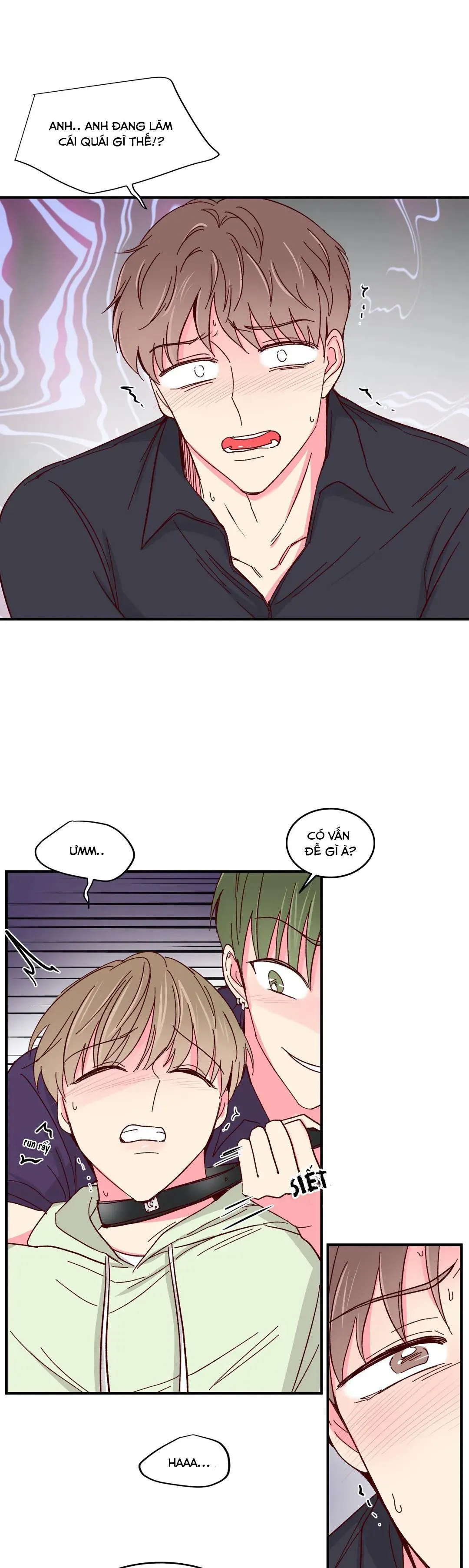 Món Tráng Miệng Của Ngài Giám Đốc Chapter 56 Trang 20