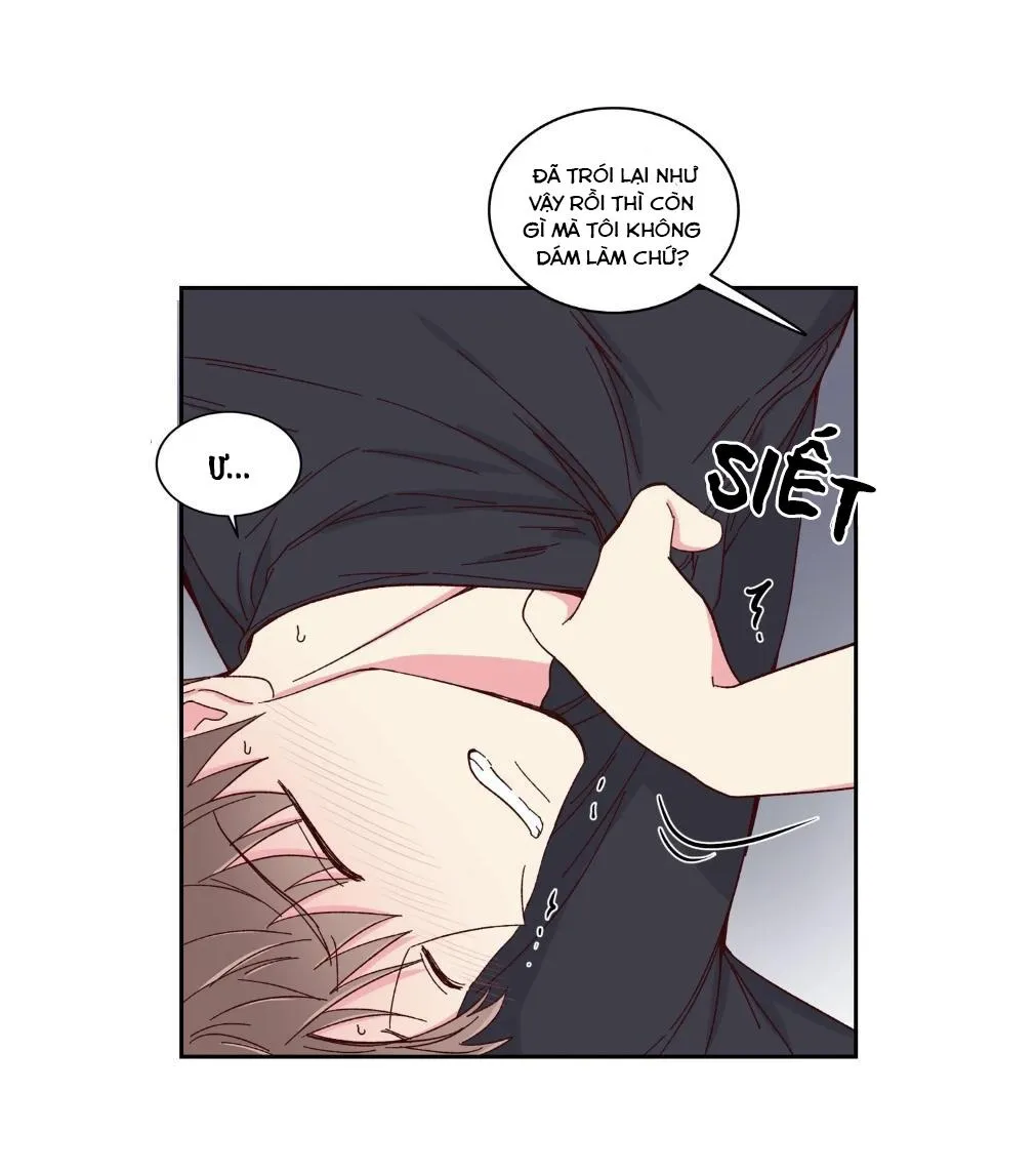 Món Tráng Miệng Của Ngài Giám Đốc Chapter 57 Trang 7