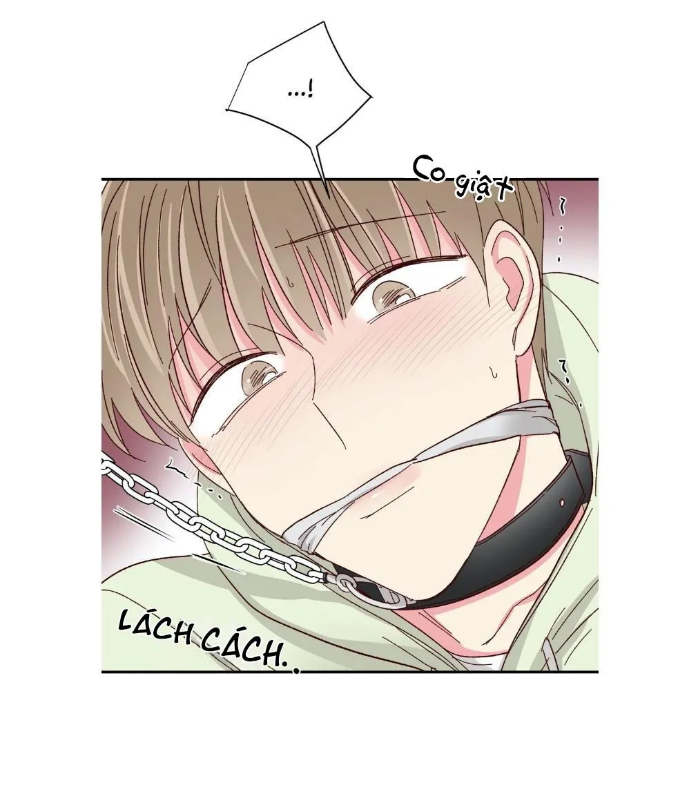 Món Tráng Miệng Của Ngài Giám Đốc Chapter 57 Trang 16