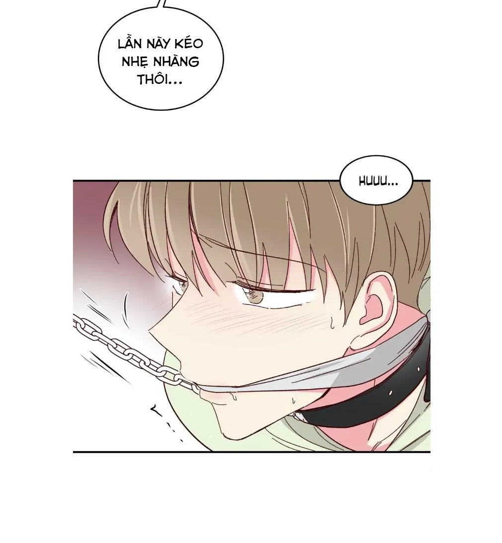 Món Tráng Miệng Của Ngài Giám Đốc Chapter 57 Trang 27