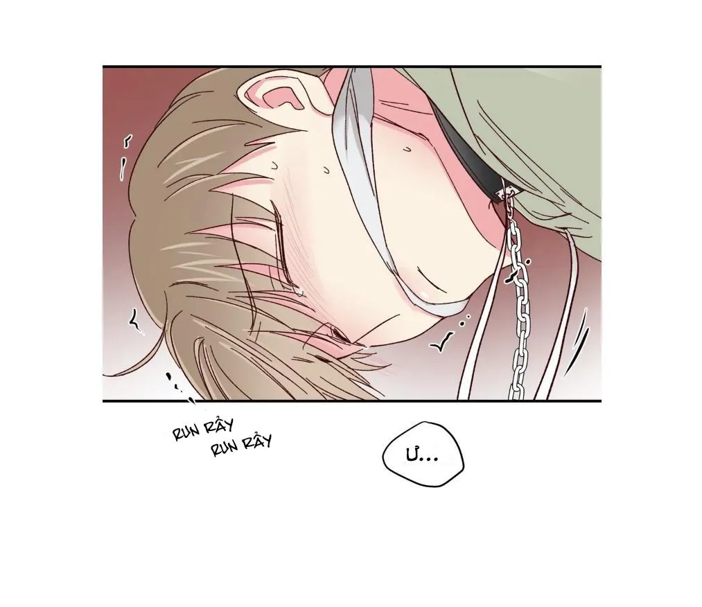 Món Tráng Miệng Của Ngài Giám Đốc Chapter 57 Trang 35