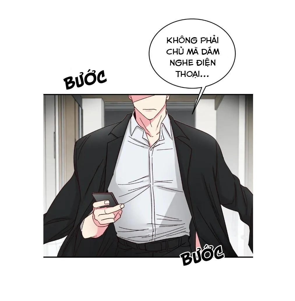 Món Tráng Miệng Của Ngài Giám Đốc Chapter 57 Trang 44