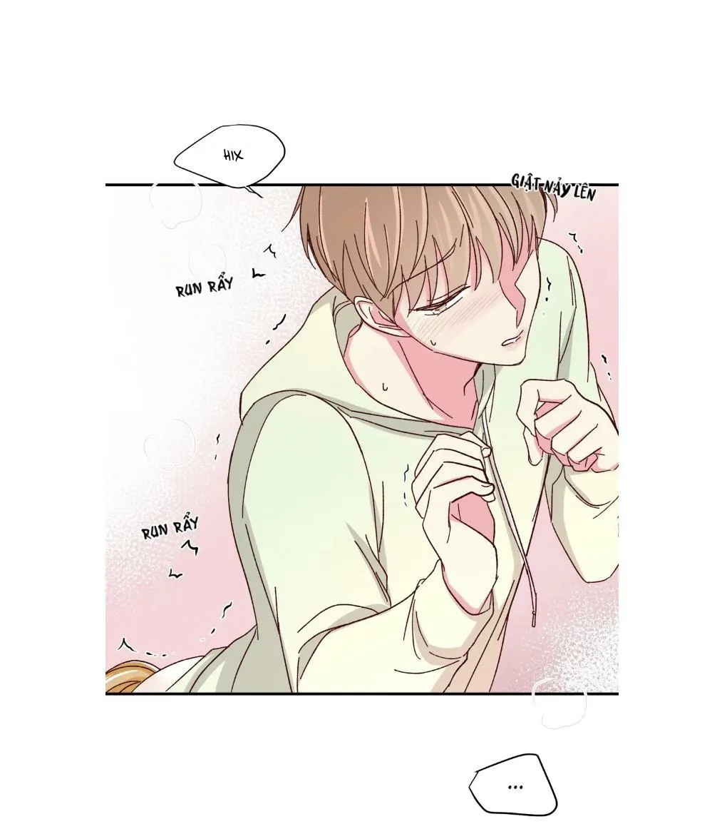 Món Tráng Miệng Của Ngài Giám Đốc Chapter 59 Trang 12