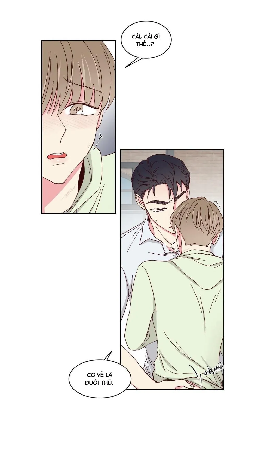Món Tráng Miệng Của Ngài Giám Đốc Chapter 59 Trang 14